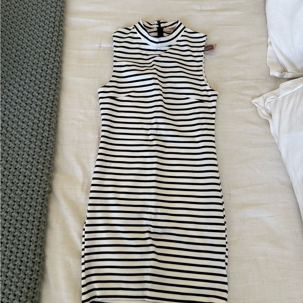 Sleeveless Black and White Striped Dress
